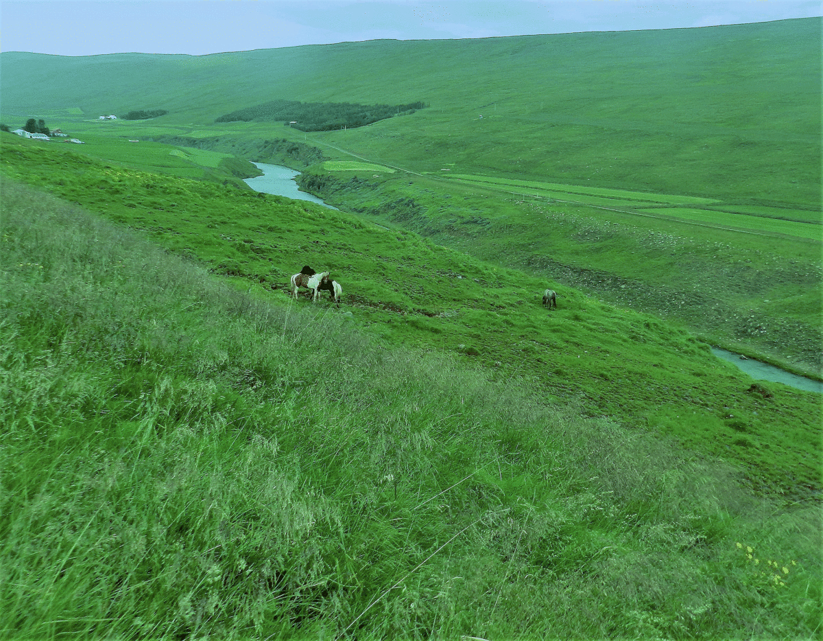 Starting to explore north Iceland – Sauðárkrókur and Grettislaug Hot Spring